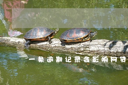一条逾期记录会影响网贷吗