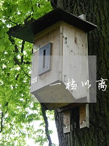 一档以离婚为主题的节目 一档以离婚为主题的节目