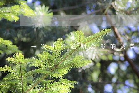 一次中行逾期会影响贷款吗 一次中行逾期会影响贷款吗