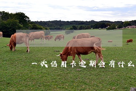 一次信用卡逾期会有什么影响 一次信用卡逾期会有什么影响