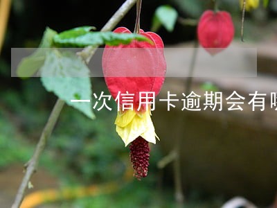 一次信用卡逾期会有哪些后果 一次信用卡逾期会有哪些后果