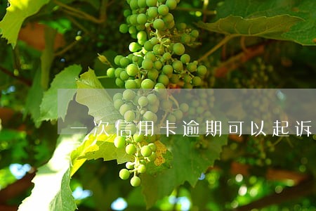 一次信用卡逾期可以起诉两次吗