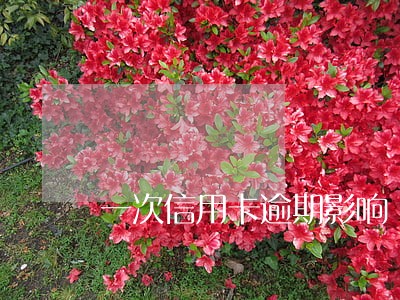 一次信用卡逾期影响 一次信用卡逾期影响