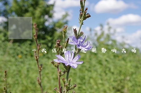 一次信用卡逾期影响大吗