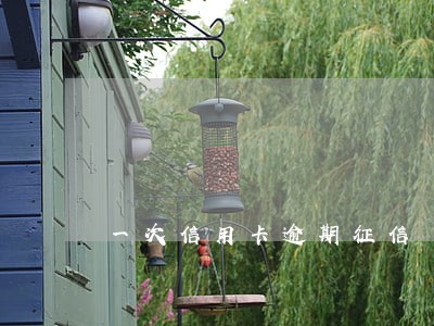 一次信用卡逾期征信 一次信用卡逾期征信