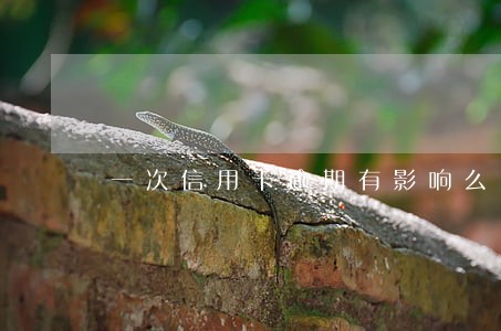 一次信用卡逾期有影响么