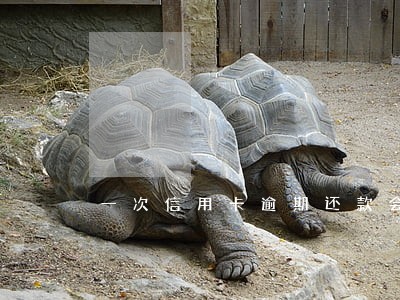 一次信用卡逾期还款会怎么样 一次信用卡逾期还款会怎么样