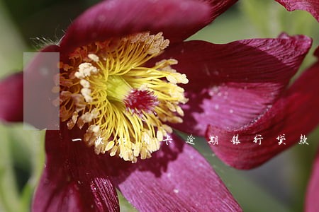 一次信用卡逾期银行贷款 一次信用卡逾期银行贷款