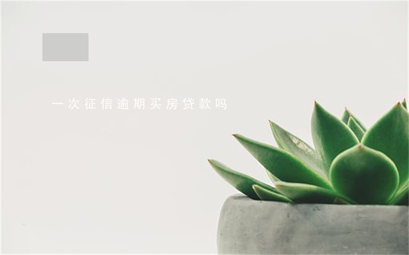 一次征信逾期买房贷款吗 一次征信逾期买房贷款吗