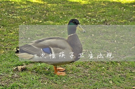 一次性筷子卫生法规