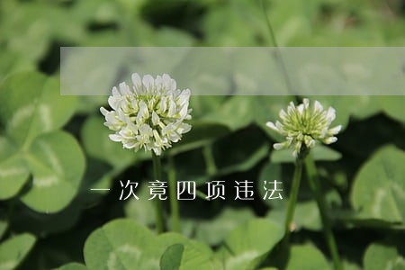 一次竟四项违法 一次竟四项违法