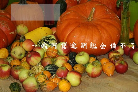一次网贷逾期就全借不了了 一次网贷逾期就全借不了了