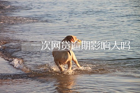 一次网贷逾期影响大吗 一次网贷逾期影响大吗