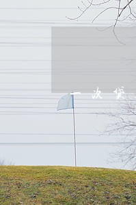 一次贷款还款逾期怎么办 一次贷款还款逾期怎么办