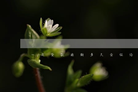 一次贷款逾期多久会征信次级