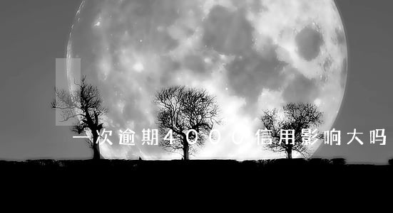 一次逾期4000信用影响大吗
