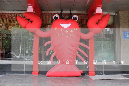 一次逾期会不会影响信用度