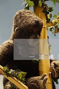 一次逾期信用影响大吗 一次逾期信用影响大吗