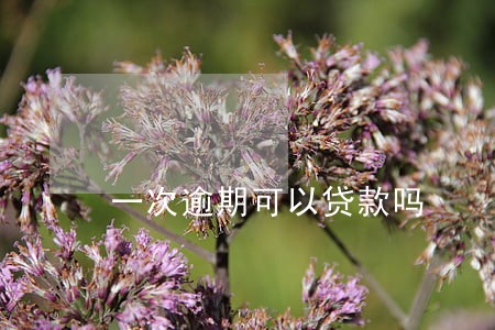 一次逾期可以贷款吗 一次逾期可以贷款吗