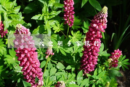 一次逾期多家银行 一次逾期多家银行