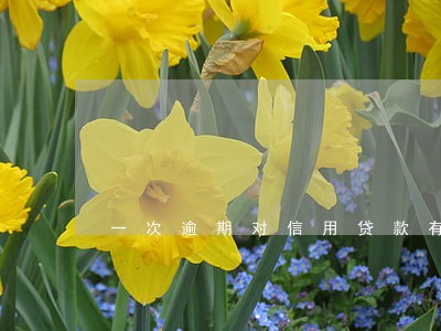 一次逾期对信用贷款有影响吗 一次逾期对信用贷款有影响吗