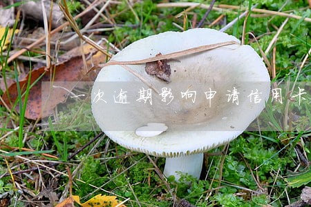 一次逾期影响申请信用卡吗 一次逾期影响申请信用卡吗