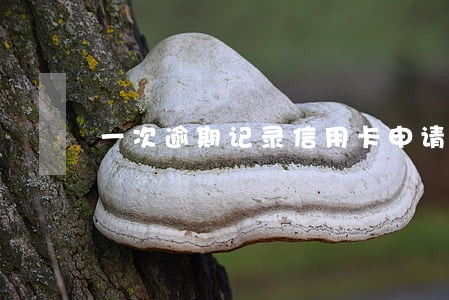 一次逾期记录信用卡申请被拒绝