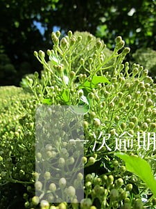 一次逾期记录影响办信用卡吗 一次逾期记录影响办信用卡吗