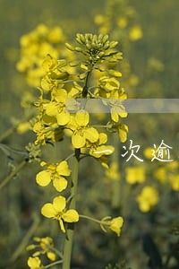 一次逾期记录影响银行上班吗 一次逾期记录影响银行上班吗