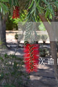 一次逾期记录还能贷款买车吗 一次逾期记录还能贷款买车吗