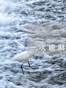 一次逾期超过90天会进黑名单 一次逾期超过90天会进黑名单