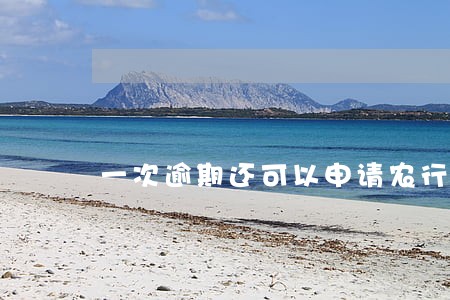 一次逾期还可以申请农行网捷贷吗
