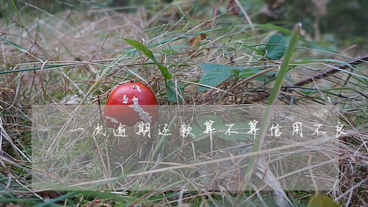一次逾期还款算不算信用不良 一次逾期还款算不算信用不良