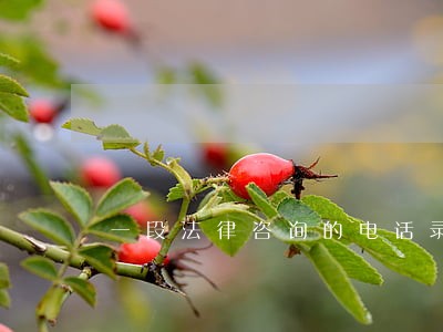一段法律咨询的电话录音 一段法律咨询的电话录音