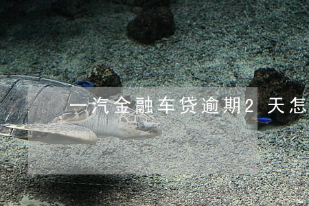 一汽金融车贷逾期2天怎么办 一汽金融车贷逾期2天怎么办