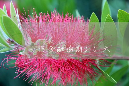 一汽金融逾期30天 一汽金融逾期30天