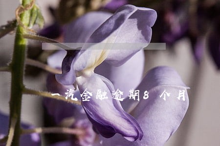 一汽金融逾期8个月 一汽金融逾期8个月