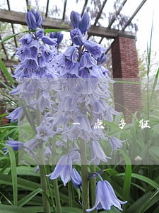 一点多狂打电话法律咨询是什么鬼 一点多狂打电话法律咨询是什么鬼