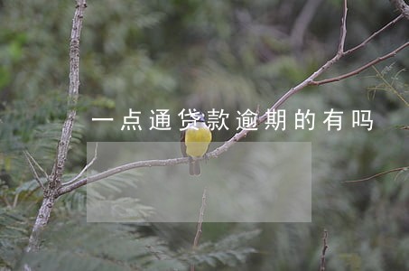 一点通贷款逾期的有吗 一点通贷款逾期的有吗