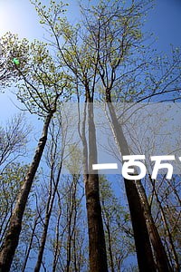 一百万贷款人逾期半年怎么办 一百万贷款人逾期半年怎么办