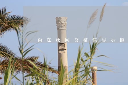 一直在还网贷征信显示逾期