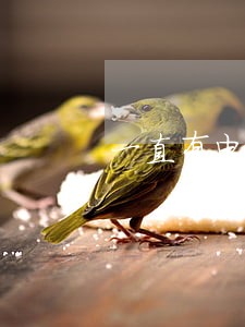 一直有电话说我老婆信用卡逾期了 一直有电话说我老婆信用卡逾期了