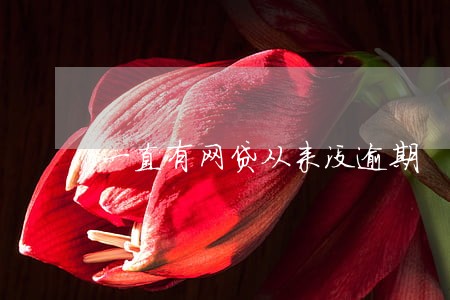一直有网贷从来没逾期