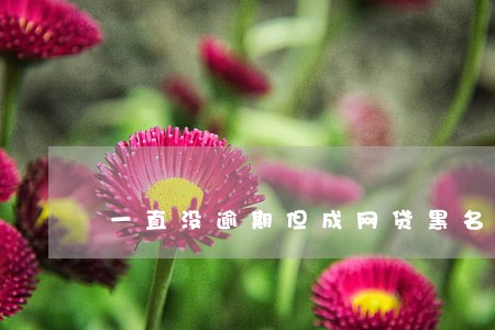 一直没逾期但成网贷黑名单 一直没逾期但成网贷黑名单