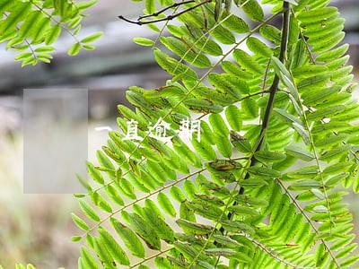 一直逾期 一直逾期