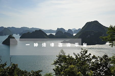 一种法律咨询平台
