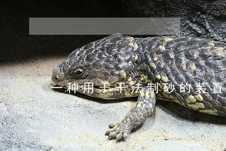 一种用于干法制砂的装置 一种用于干法制砂的装置