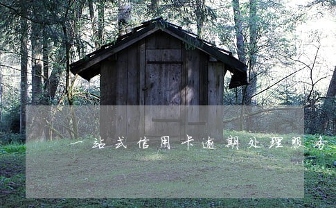 一站式信用卡逾期处理服务可信吗 一站式信用卡逾期处理服务可信吗