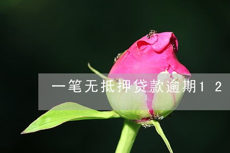一笔无抵押贷款逾期120 一笔无抵押贷款逾期120