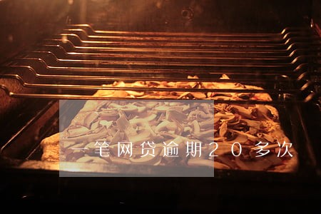一笔网贷逾期20多次 一笔网贷逾期20多次